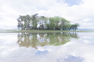 鎮守の森のプロジェクト　植樹＆育樹祭　2018 in 岩沼市に参加しました